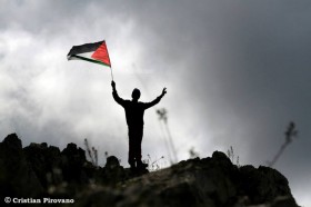 El 29 de Noviembre 1947: un día para actuar por la liberación de PalestinaEl 29 de Noviembre 1947: un día para actuar por la liberación de PalestinaEl 29 de Noviembre 1947: un día para actuar por la liberación de Palestina