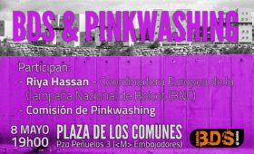 BDS y pinkwashing