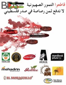 BDS Marruecos acaba con la importación de dátiles israelíes