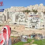 #BoycottCarrefour hasta que ponga fin a su complicidad con el apartheid israelí y el colonialismo