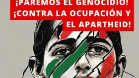 250 juristas piden al Gobierno que apoye la denuncia internacional de Sudáfrica contra Israel por genocidio