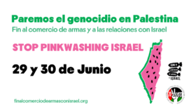 6ª Movilización Estatal por Palestina. Paremos el genocidio. Stop Pinkwashing Israel