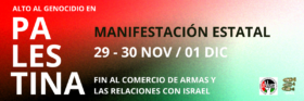 MANIFESTACIONES ESTATALES POR PALESTINA de  29, 30 de noviembre y 1 de diciembre