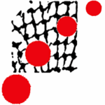 Comunitat Palestina de Catalunya